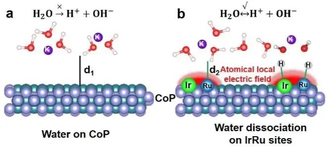 ?三單位聯(lián)合Angew.：原子局域電場誘導界面水取向，顯著增強堿性析氫反應性能