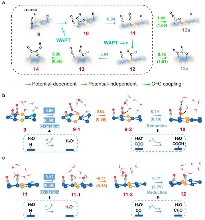 ?北大ACS Catalysis：Ni2P催化劑的多中心協(xié)同作用用于增強電化學(xué)CO2還原中的C-C偶聯(lián)