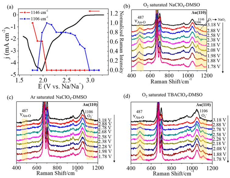 廈門大學(xué)李劍鋒課題組JACS：原位拉曼實時監(jiān)測鈉氧電池放電中間體