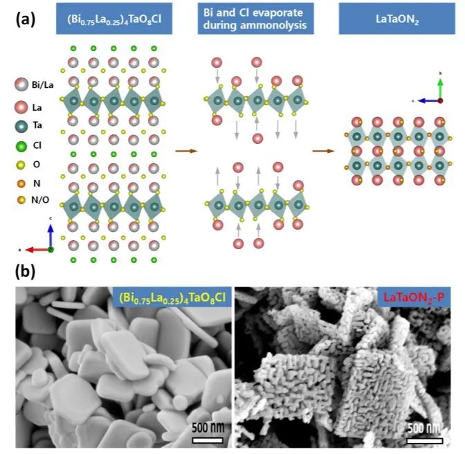 同濟(jì)徐曉翔ACS Nano: LaTaON2介孔單晶用于高效光催化水氧化和Z型全分解水