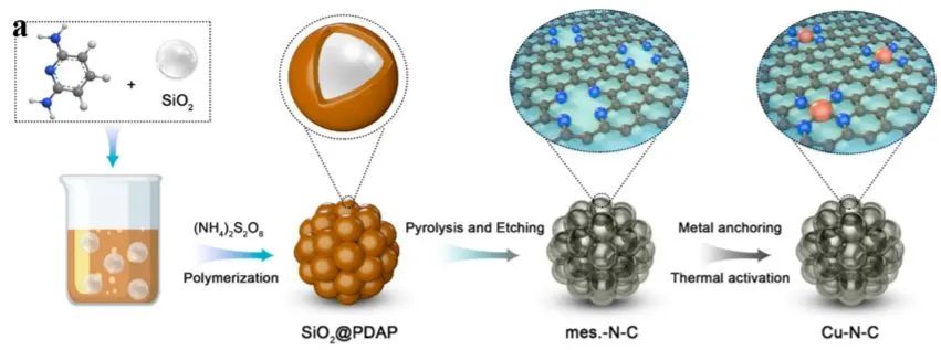 王愛(ài)琴/楊小峰/李劍鋒JACS: 單原子催化劑在電催化中的動(dòng)態(tài)行為: 鑒定Cu-N3作為氧還原反應(yīng)的活性位點(diǎn)