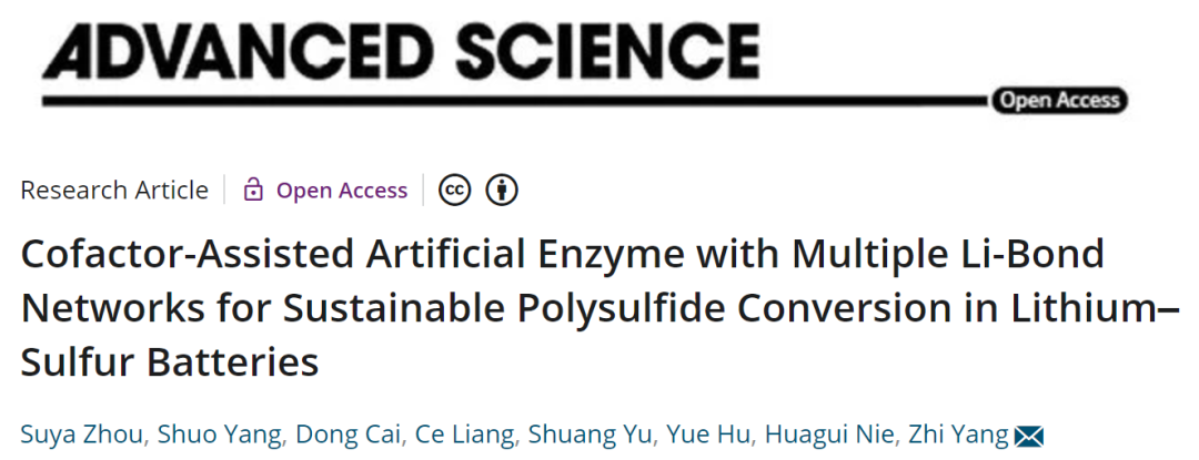 溫大楊植Adv. Sci.：含多重鋰鍵網(wǎng)絡(luò)的仿生人造酶助力高性能鋰硫電池