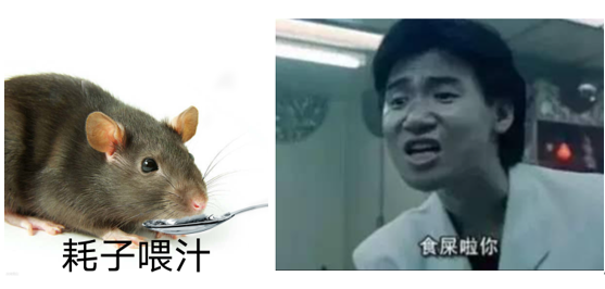趣味頂刊，吃飯時間看！Nature：粑粑有益，Science：總統(tǒng)易忘！