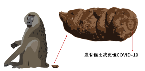 “不正經(jīng)”論文大賞！Nature論文也藏彩蛋：插圖自帶第一作者正裝照？！