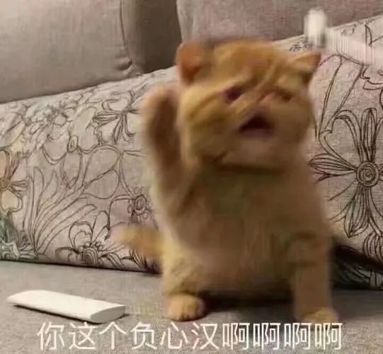 當博導10年，我敢怒不敢言！