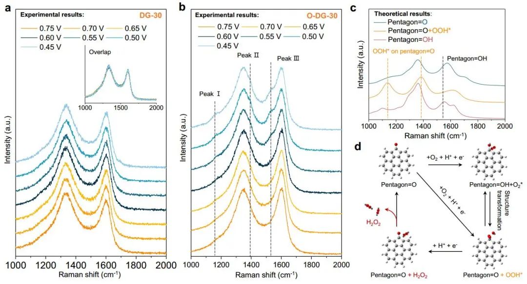 計算頂刊成果速遞：3篇Angew、2篇Nat. Commun.、JACS、AFM、Small等！