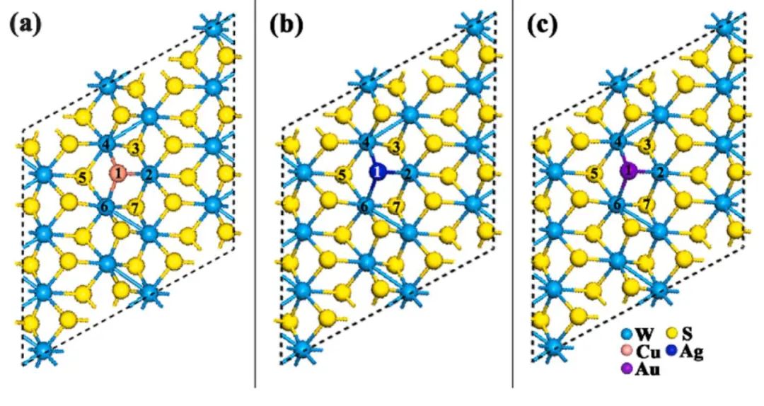 純計(jì)算Comp. Mater. Sci.:銅系金屬摻雜1T'WS2作為ORR和HER的高效雙功能電催化劑