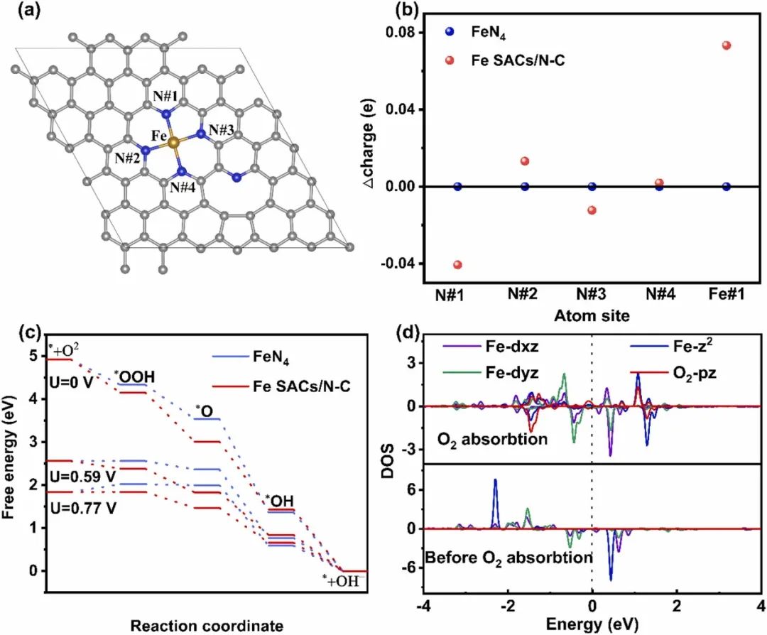 催化頂刊合集：JACS、Appl. Catal. B、AFM、Nano Energy、CEJ、ACS Nano等成果！