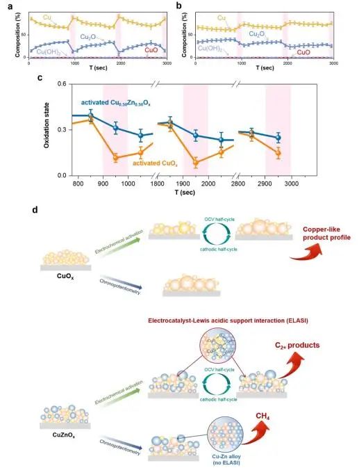 催化頂刊集錦：JACS、AEM、ACS Catalysis、ACS Nano、Small等成果