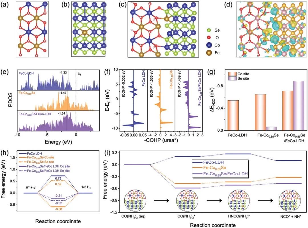 催化頂刊集錦：AM、ACS Catalysis、Small、JMCA、AFM、ACS Nano、NML等成果