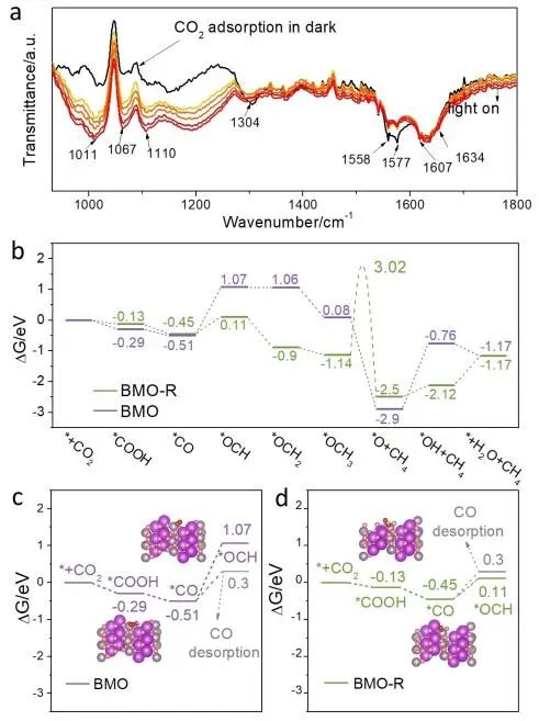 他，被引10W+，H因子164，化學/材料雙領域高被引科學家，2022年度成果精選！