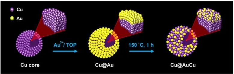 Nano Lett.: 純金亦低頭：高貴金屬利用率的Cu@AuCu增強(qiáng)電催化CO2RR