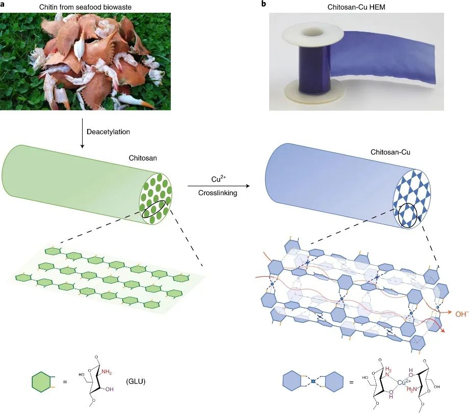 繼Science之后，胡良兵團(tuán)隊(duì)再發(fā)Nature Nanotechnology！