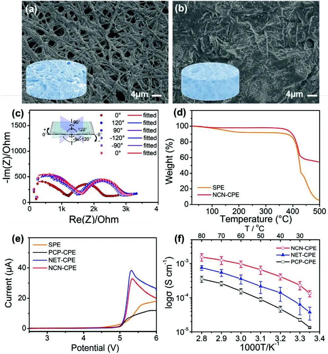 深大劉琛Adv. Sci.：陶瓷納米線骨架增強固態(tài)電解質(zhì)鋰離子傳輸性能