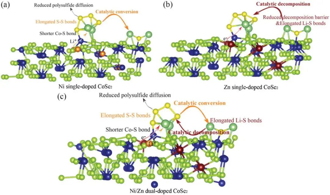 李喜飛/許云華AFM: CoSe2對(duì)鋰硫電池的雙功能催化作用：?jiǎn)螕诫s與雙摻雜