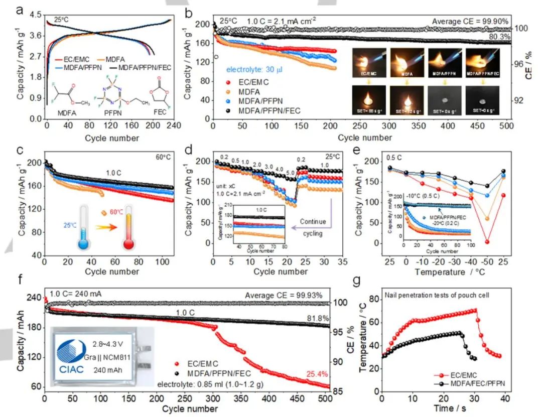電池頂刊集錦：Angew、AEM、Small、ACS Energy Letters、ACS Nano等成果精選！