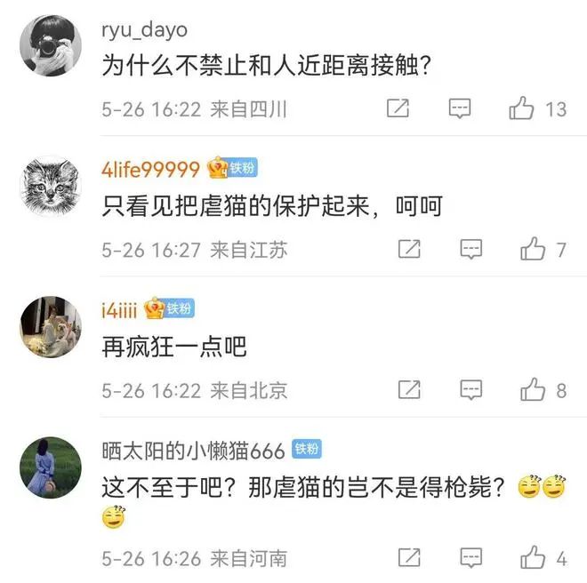 上海交大：博士研究生擅自逗貓，全校通報(bào)批評(píng)！取消全年評(píng)獎(jiǎng)評(píng)優(yōu)！