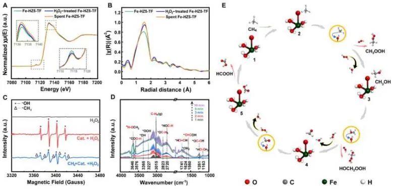 催化頂刊集錦：Nature子刊、Angew.、JACS、AEM、ACS Catalysis等成果