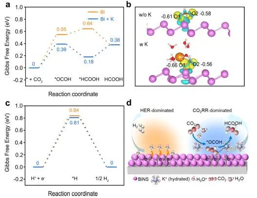 催化頂刊集錦：Nature子刊、Angew.、JACS、AEM、ACS Catalysis等成果