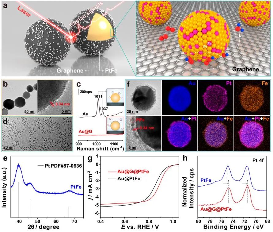 【計算+實驗】頂刊集錦：3篇Angew 、3篇ACS Catalysis、2篇Small等最新成果精選！