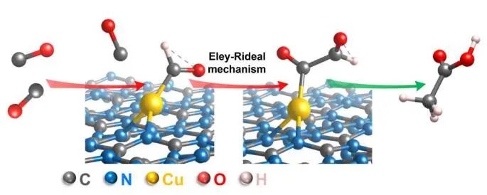 ?王超/王國(guó)峰Science子刊：?jiǎn)卧覥u上的CO電還原