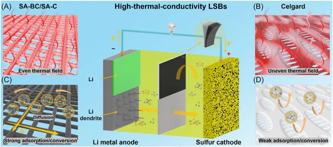 ?姚亞剛Carbon Energy：“三合一”隔膜：散熱、抑制穿梭效應(yīng)、緩解枝晶生長(zhǎng)！