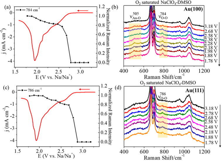 廈門大學(xué)李劍鋒課題組JACS：原位拉曼實時監(jiān)測鈉氧電池放電中間體