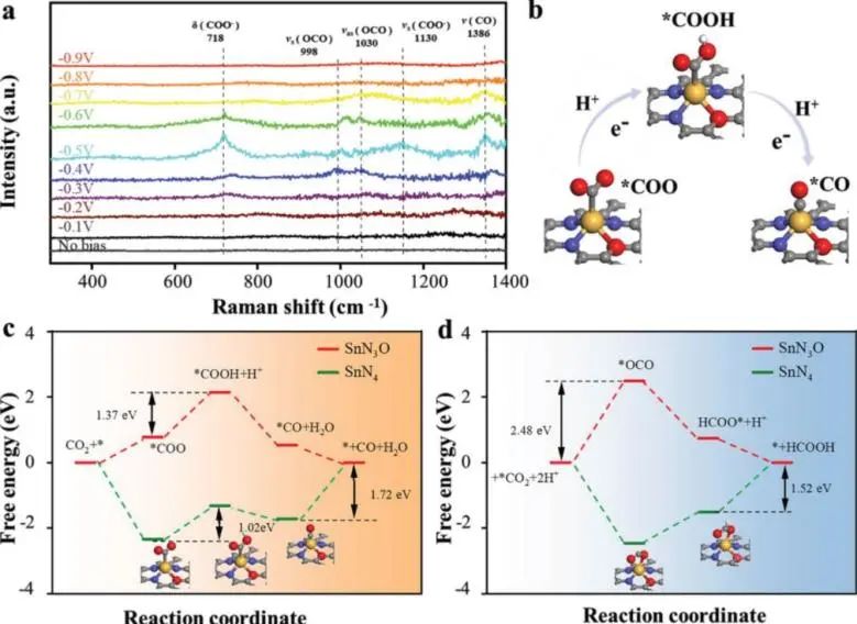 河工大、阿姆斯特丹大學(xué)Adv. Sci.：通過錫單原子催化劑的配位工程控制電化學(xué)CO2還原選擇性