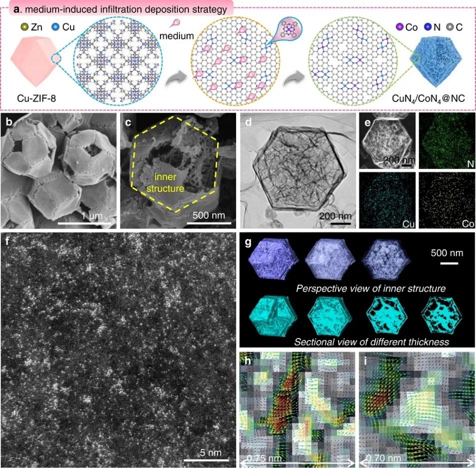 李映偉&房瑞琪，最新Nature子刊！
