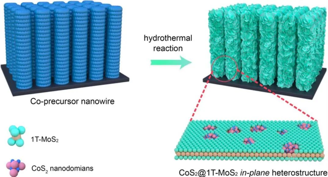 催化頂刊集錦：ACS Catalysis、Small、Nano Energy、NML、Appl. Catal. B.等成果