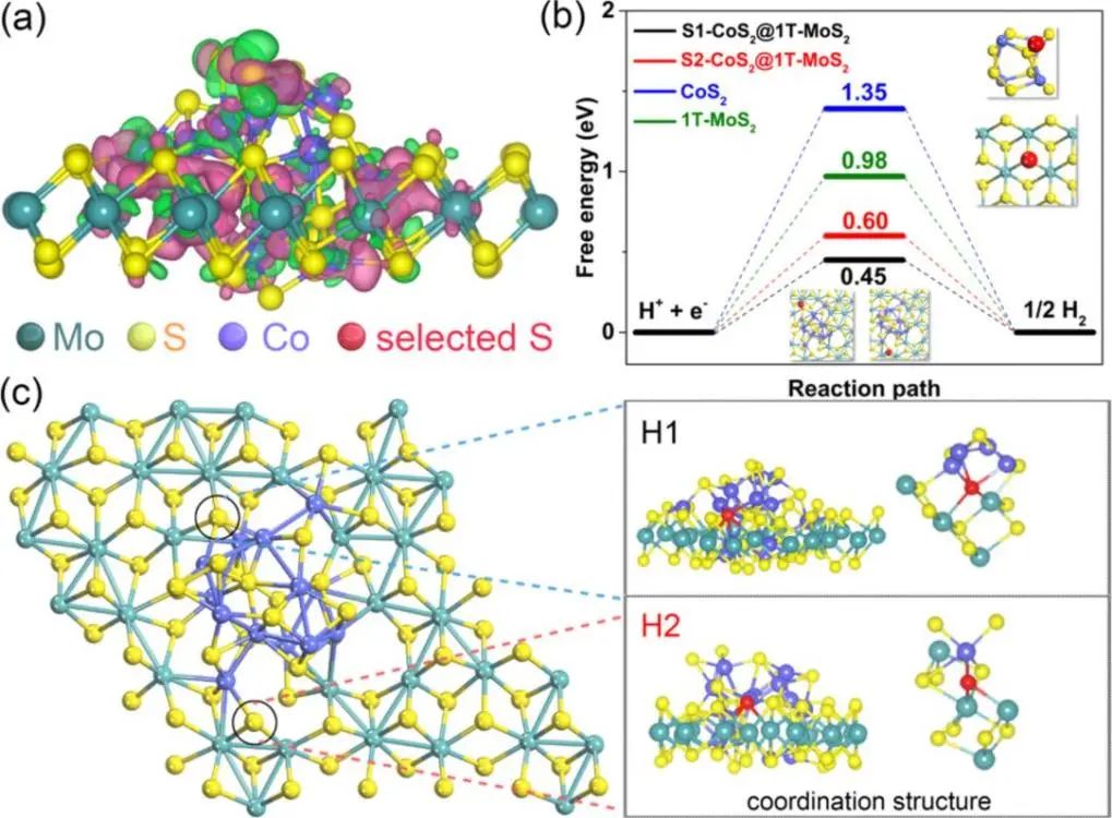 催化頂刊集錦：ACS Catalysis、Small、Nano Energy、NML、Appl. Catal. B.等成果