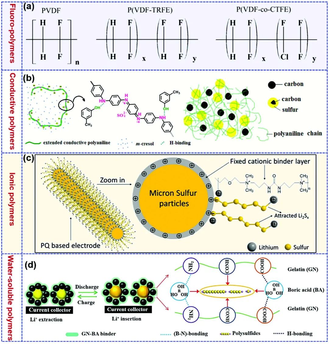 中南民族大學(xué)楊應(yīng)奎/佐治亞理工學(xué)院林志群Adv. Sci.：用于鋰硫電池的聚合物