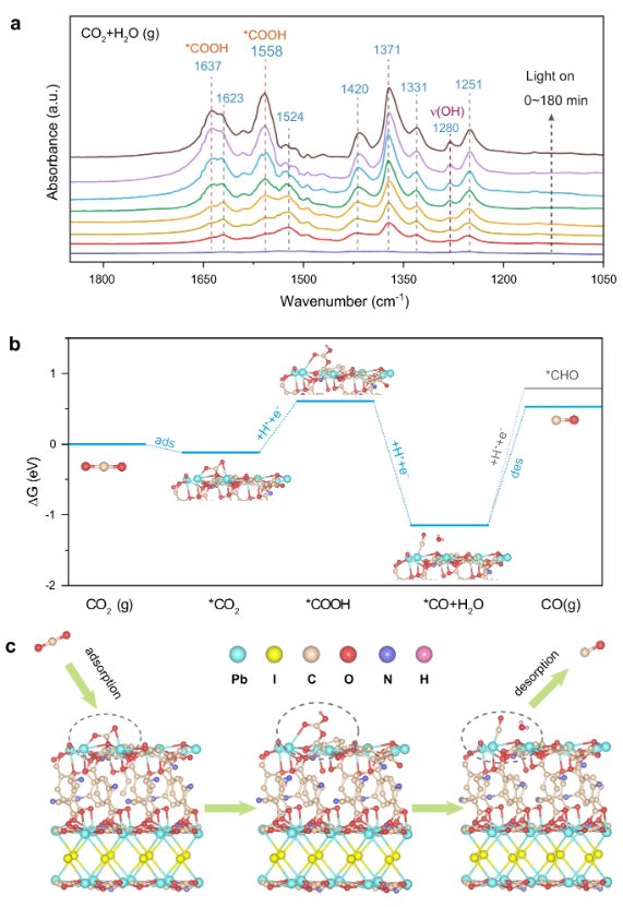 Nature子刊 ：金屬有機框架中溴和碘橋接的建筑單元，用于增強載流子傳輸和水蒸氣對CO2的光還原