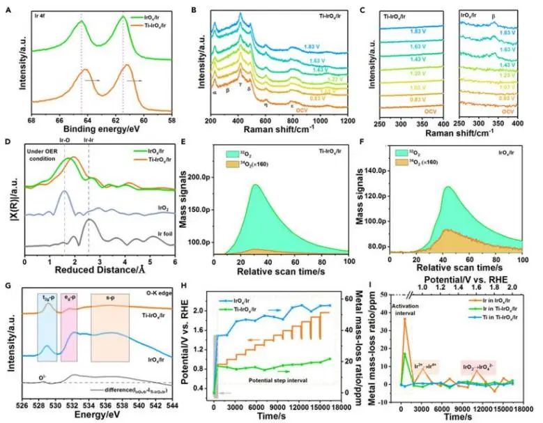 催化頂刊集錦：JACS、EES、Angew.、Chem、AFM、ACS Nano、ACS Catal.等成果