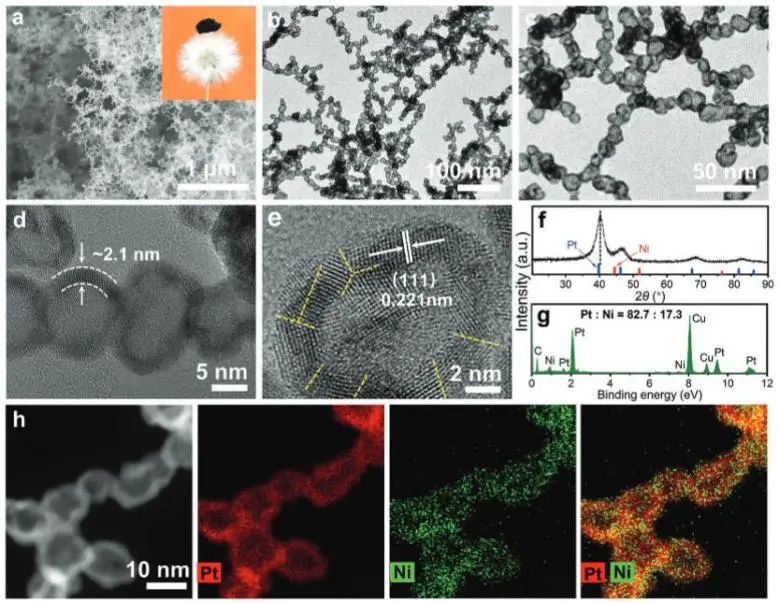 催化頂刊集錦：Nature子刊、AM、AEM、Nano Energy、Nano Letters、Small等