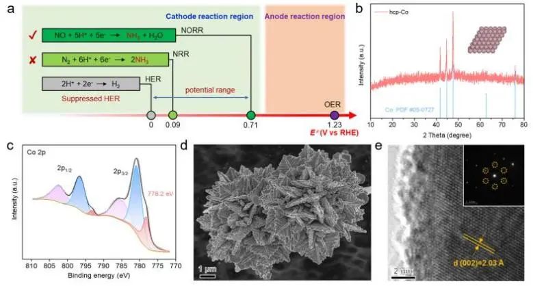 催化頂刊集錦：JACS、AEM、ACS Catalysis、ACS Nano、Small等成果