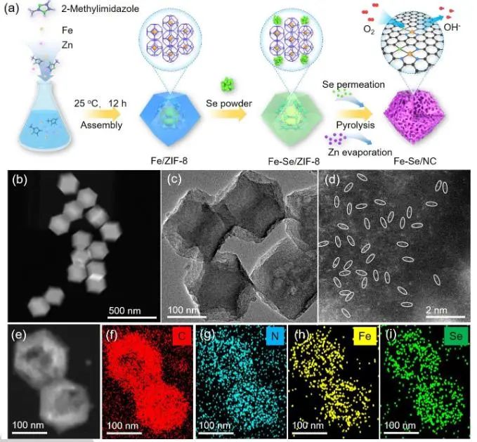 催化頂刊集錦：JACS、Angew.、AEM、ACS Catal.、ACS Energy Lett.、Small等成果