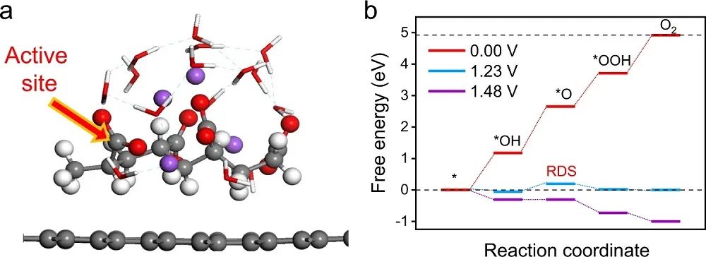 Nature子刊：PANa電催化劑用于直接水氧化