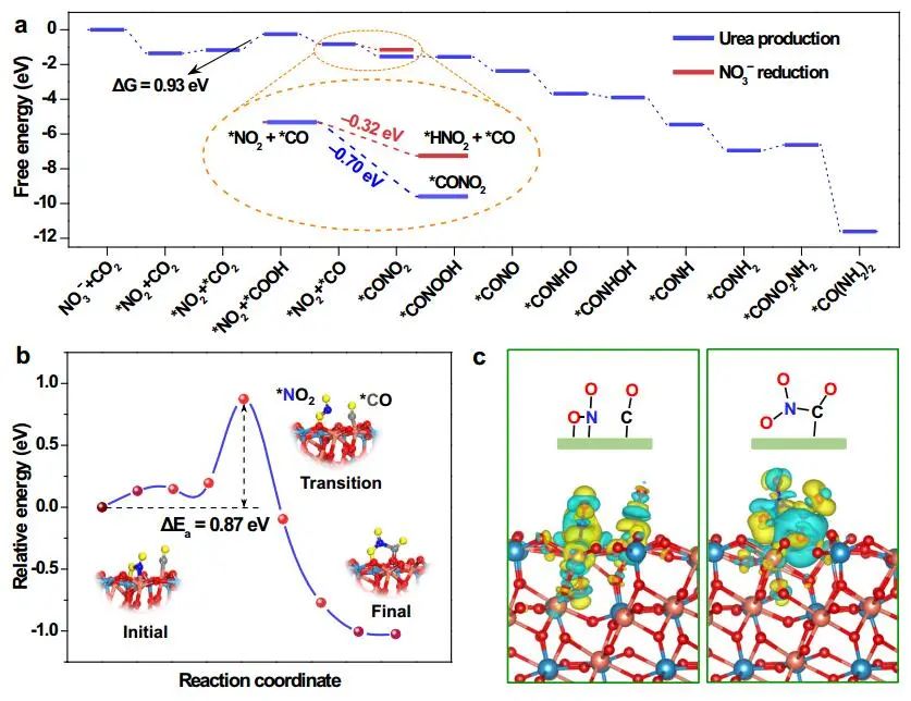 ?大工/西湖大學(xué)孫立成院士等Nature子刊：CuWO4電催化CO2和硝酸鹽高效合成尿素