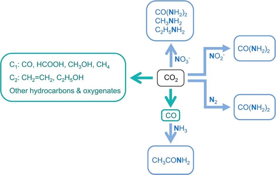 耶魯王海梁JACS：電催化CO2還原中通過(guò)C-N偶聯(lián)獲得有機(jī)氮化合物