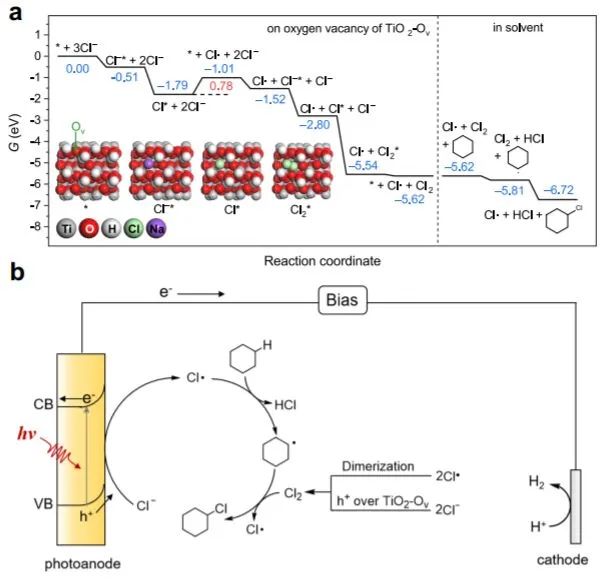 催化頂刊集錦：Nature、JACS、Nano Energy、ACS Catal.、Chem. Eng. J.等成果