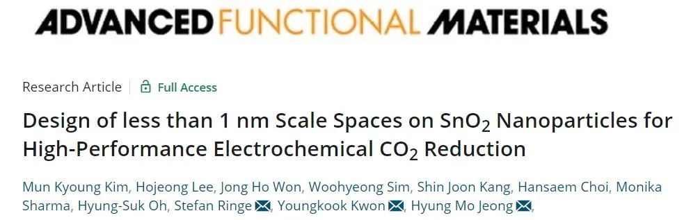 三單位聯(lián)合AFM: 亞納米結構助力SnO2納米顆粒高效電催化CO2RR
