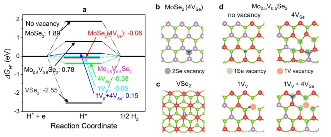 催化頂刊集錦：ACS Catalysis、Small、Nano Energy、NML、Appl. Catal. B.等成果