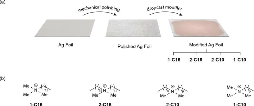 ACS Catal.: 接近100%！表面活性劑對(duì)Ag在低電位下的電化學(xué)CO2還原為CO的選擇性