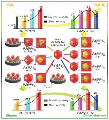 Small：了解金屬基電催化劑中電子結(jié)構(gòu)變化，以Pd@Pt核殼納米晶體為理想平臺