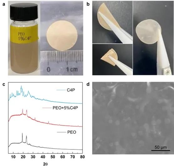?AM：柔性的固態(tài)超分子電解質(zhì)，助力全固態(tài)電池1200次循環(huán)！