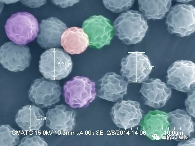 【制圖干貨】3個案例，輕松get到PS電鏡上偽彩技巧