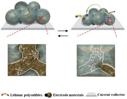 張慶華/何孝軍AFM：一種用于高穩(wěn)定性硫、硅和氧化硅電極的自修復(fù)聚電解質(zhì)粘結(jié)劑