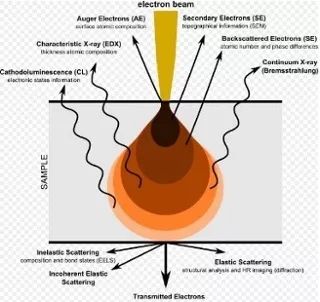 【表征】掃描電鏡（SEM）中產(chǎn)生不同類型電子是如何被檢測(cè)出到的，它們可以提供哪些信息？