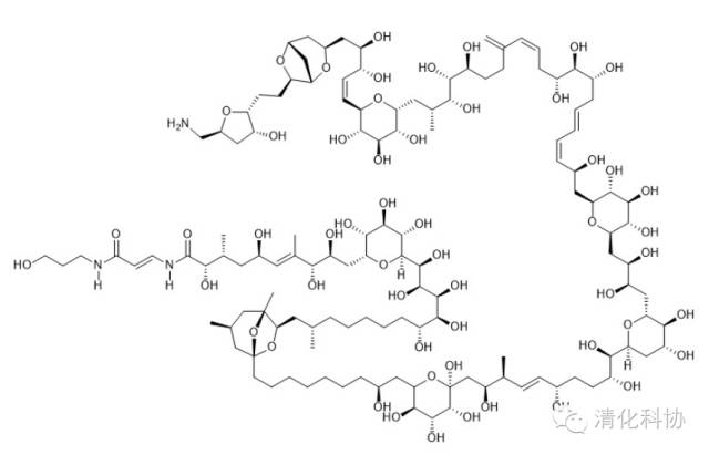 干貨丨超快入門ChemDraw：從菜單介紹到繪制實例